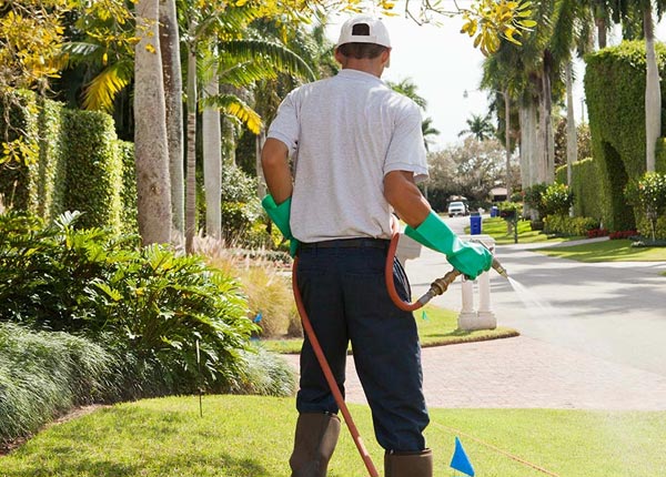 About Laurens NY Pest Control